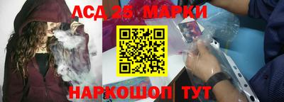 гашик Кулебаки