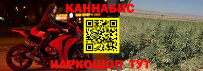 гашик Кулебаки