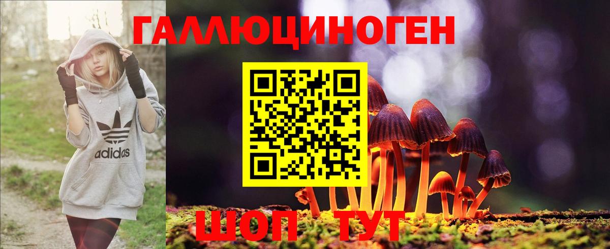 закладка  Вход с VPN  Псилоцибиновые грибы Psilocybe  Южноуральск  Псилоцибиновые грибы Psilocybine cubensis 